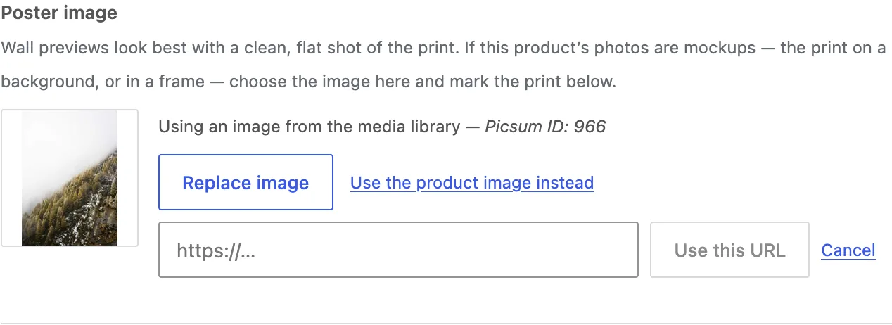 A poster image chosen from the media library, overriding the product gallery.